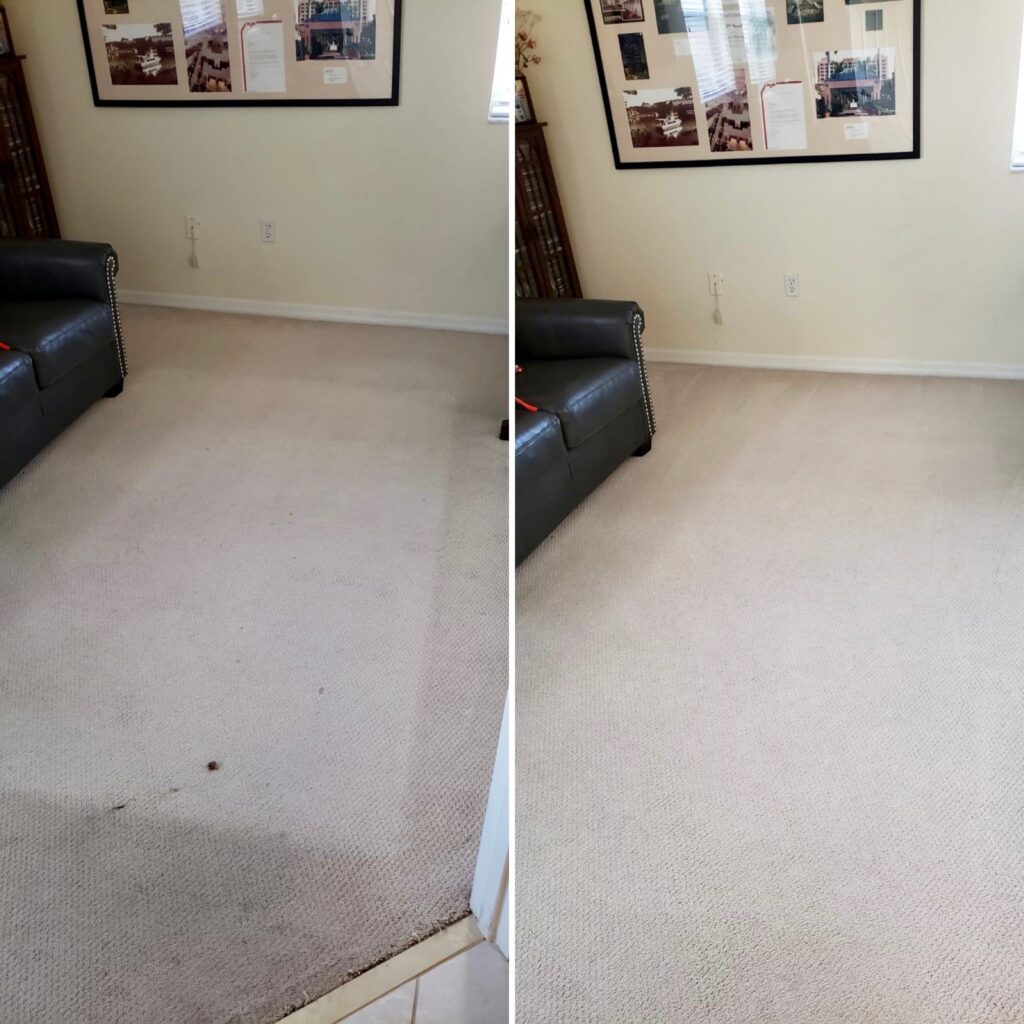 carpet cleaning services in miami, florida