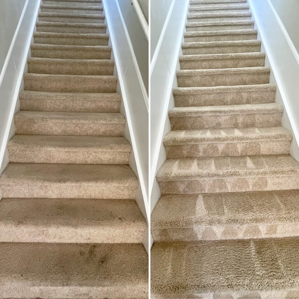 carpet cleaning services in miami, florida