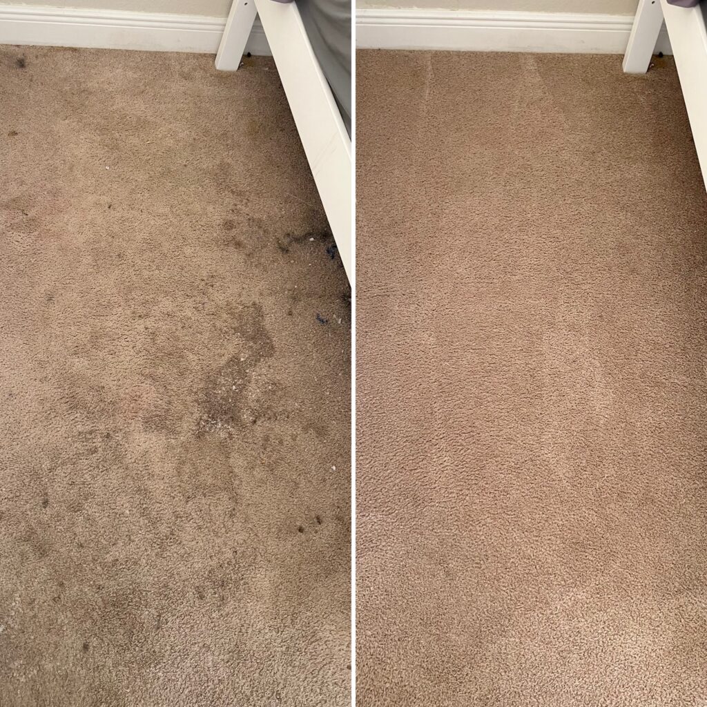 carpet cleaning services in miami, florida