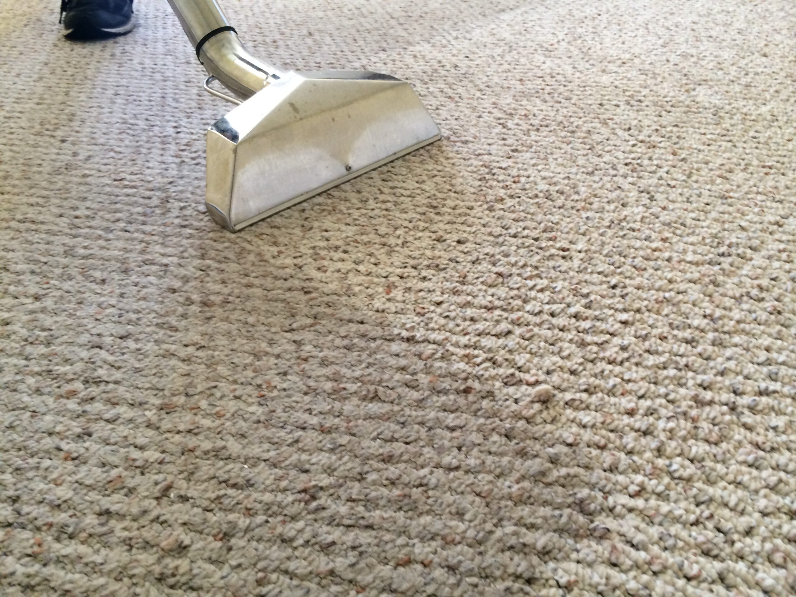 Miami Steamer Carpet and Tile Cleaning Services in Miami, FL