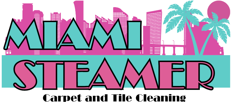 About, Steam Cleaner, Cleaning Services Miami