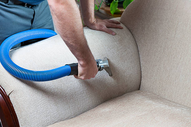 upholstery cleaning services in miami, florida